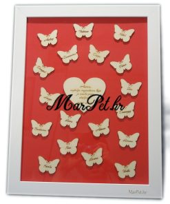 srce i leptirici u okviru