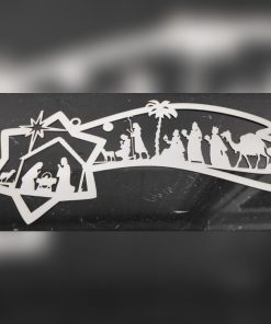 Božićna zvijezda repatica u kartonu